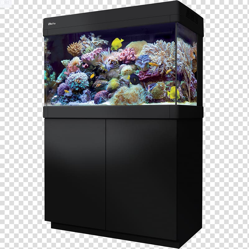 Red Sea Reef aquarium Aquariums Coral reef, fish tank transparent background PNG clipart