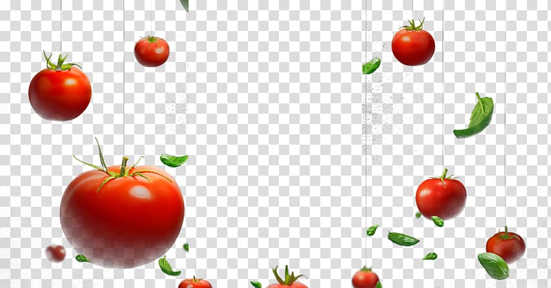 red tomatoes, Cherry tomato Hamburger Vegetable, tomato transparent background PNG clipart