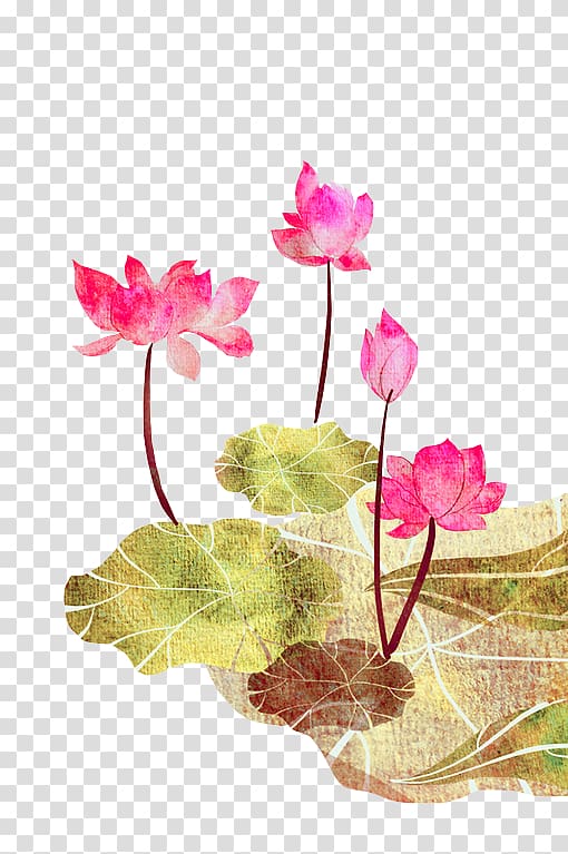 Nelumbo nucifera Poster Hanami Illustration, Pink fresh lotus decoration pattern transparent background PNG clipart