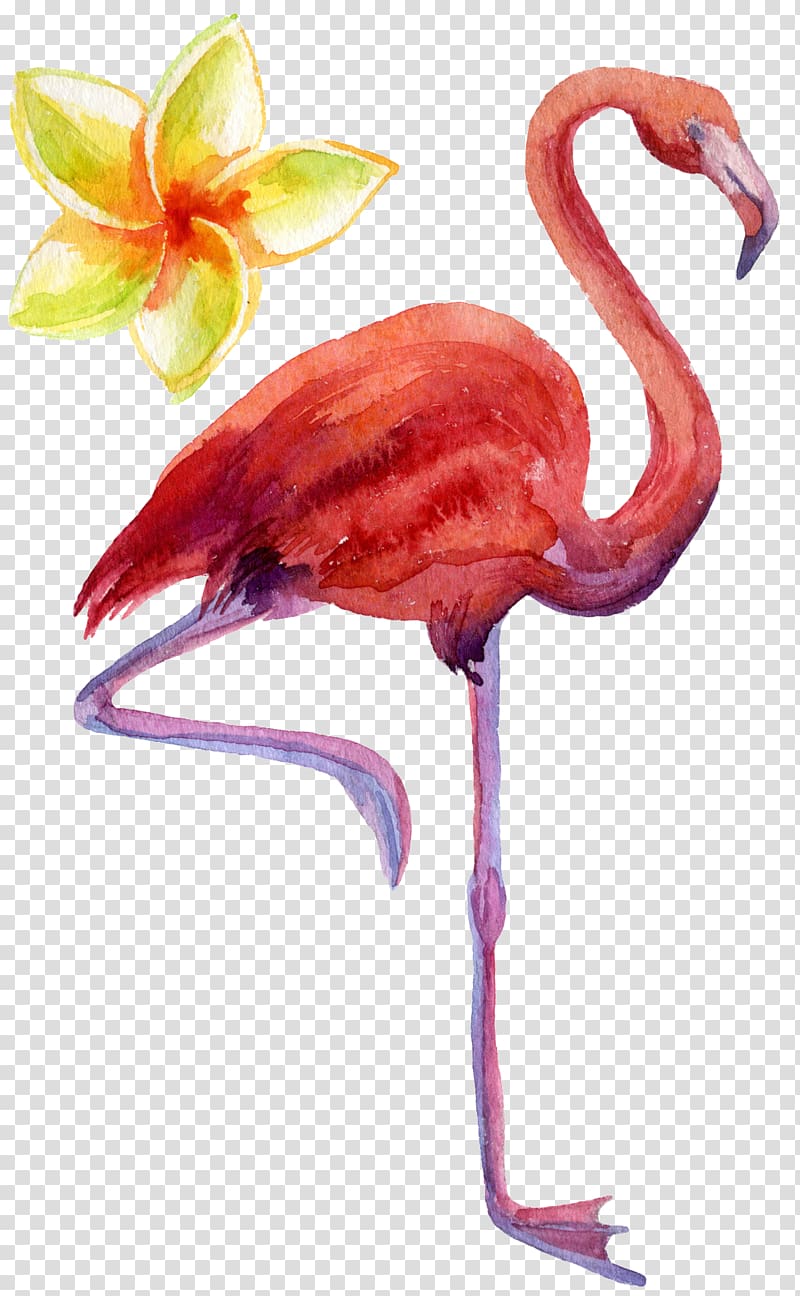 Bird Flamingo Textile, Bird transparent background PNG clipart