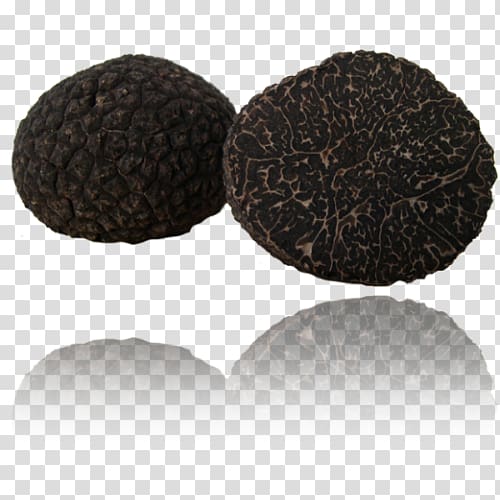 Alba Périgord black truffle Piedmont white truffle Tuber aestivum, tartufo transparent background PNG clipart