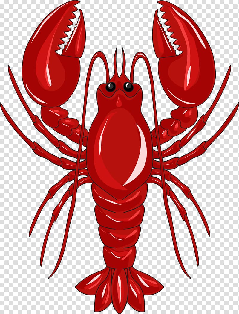 Lobster Crab , Red Lobster transparent background PNG clipart