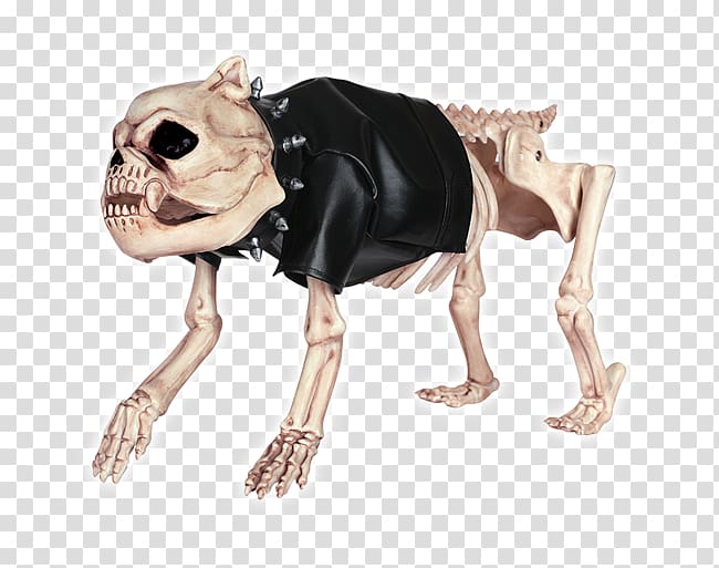 Crazy Bonez Skeleton Dog Dress Up Kit Crazy Bonez Skeleton Dog Dress Up Kit Crazy Bonez Skeleton Dog Dress Up Kit Beagle, skeleton dress transparent background PNG clipart