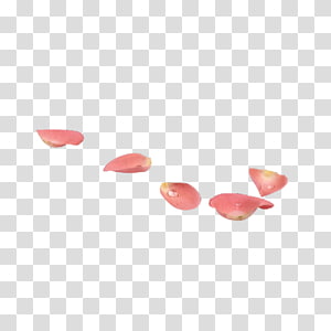 Petal Flower Pink , flower transparent background PNG clipart thumbnail