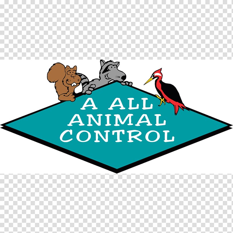 A All Animal Control of Tampa Bay Nuisance wildlife management Animal control and welfare service, squirrel transparent background PNG clipart