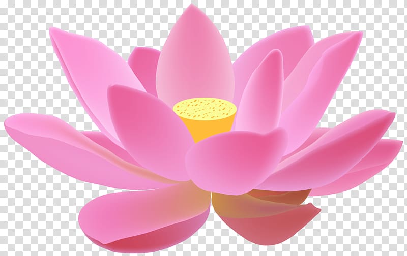 Diya Diwali Candle , realistic spring flowers background transparent background PNG clipart
