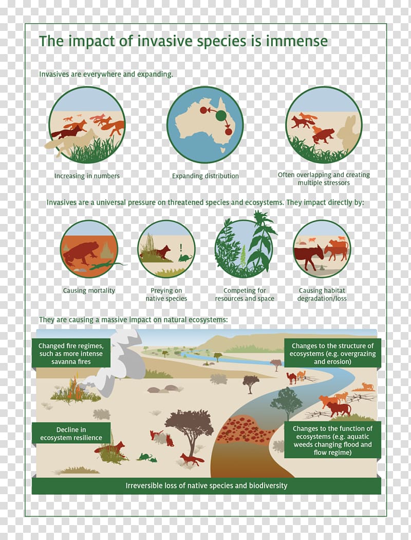 Biodiversity Ecosystem Invasive species Pest Introduced species, natural environment transparent background PNG clipart