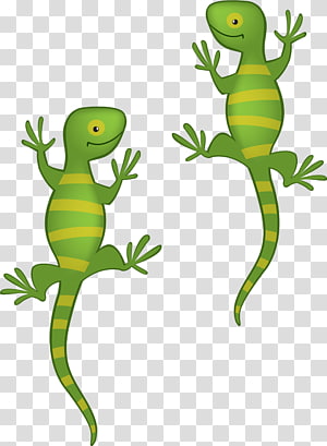 Lizard Green iguana Child Animaatio Drawing, lizard transparent background PNG clipart Lizard Green iguana Child Animaatio Drawing, lizard transparent background PNG clipart thumbnail