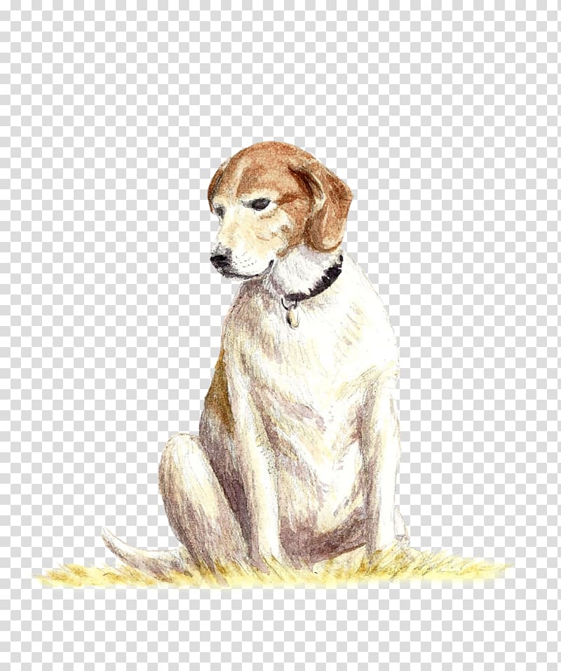 Dog breed Saluki Companion dog Crossbreed, others transparent background PNG clipart