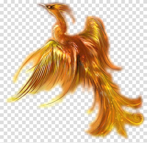 Phoenix Mythology Legend Bird, Phoenix transparent background PNG clipart