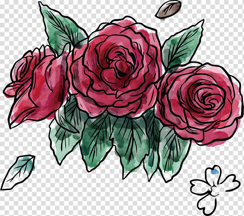 Garden roses Beach rose Flower Centifolia roses, Watercolor lovely National Day Flower transparent background PNG clipart