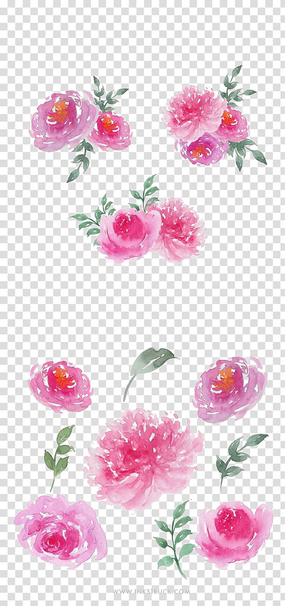 pink and green flowers illustration, Garden roses Watercolour Flowers Watercolor painting, Ink and flower decoration transparent background PNG clipart