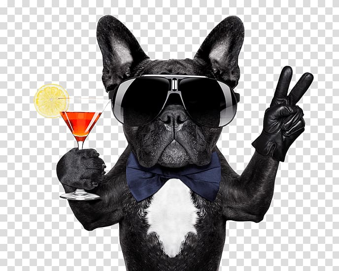 French Bulldog Cocktail Mexican martini, cocktail transparent background PNG clipart