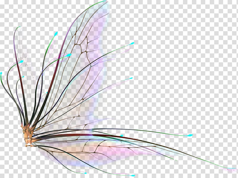 Tooth Fairy Portable Network Graphics Tinker Bell , Fairy transparent background PNG clipart