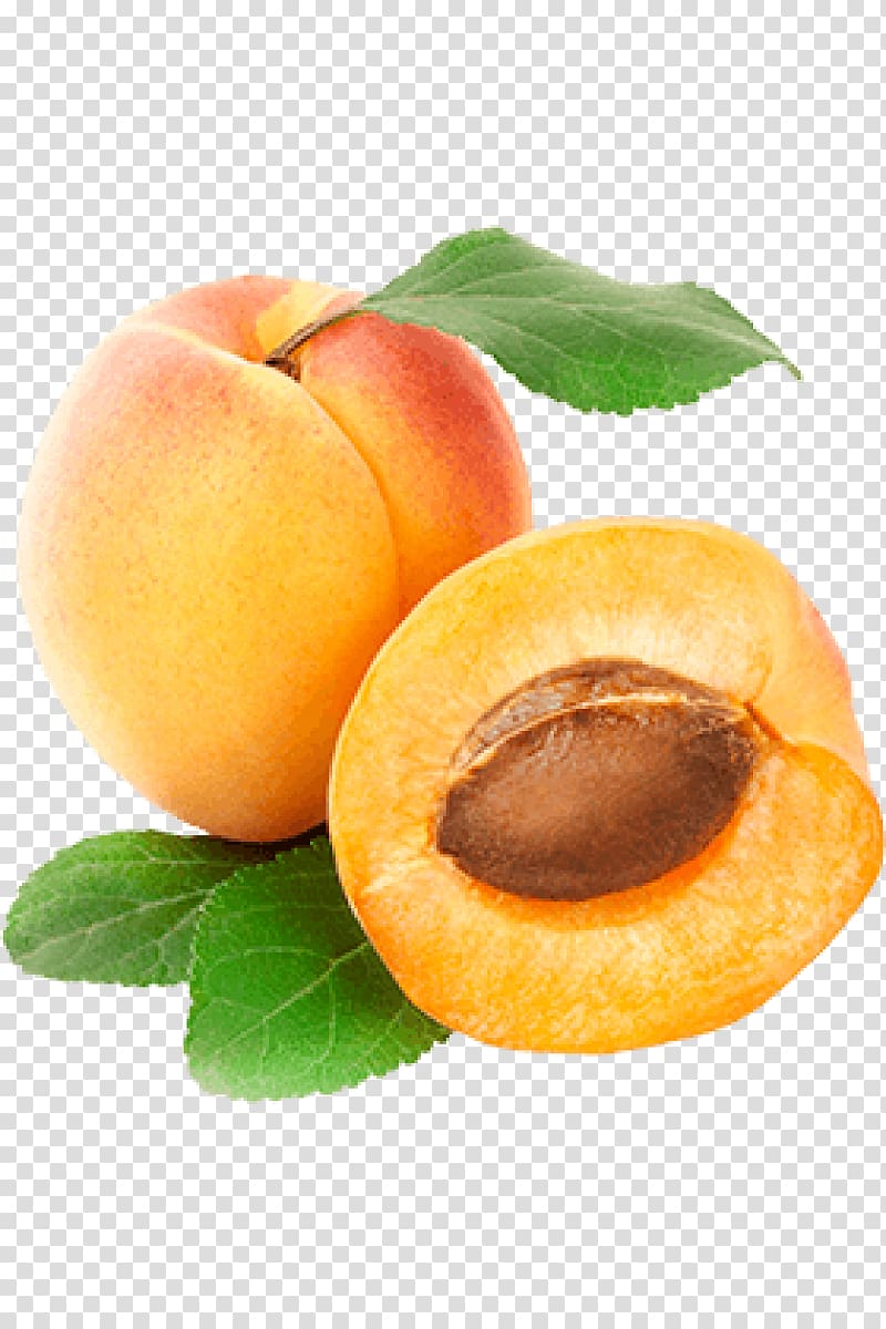 peach, Peach Apricot Fruit , apricot transparent background PNG clipart