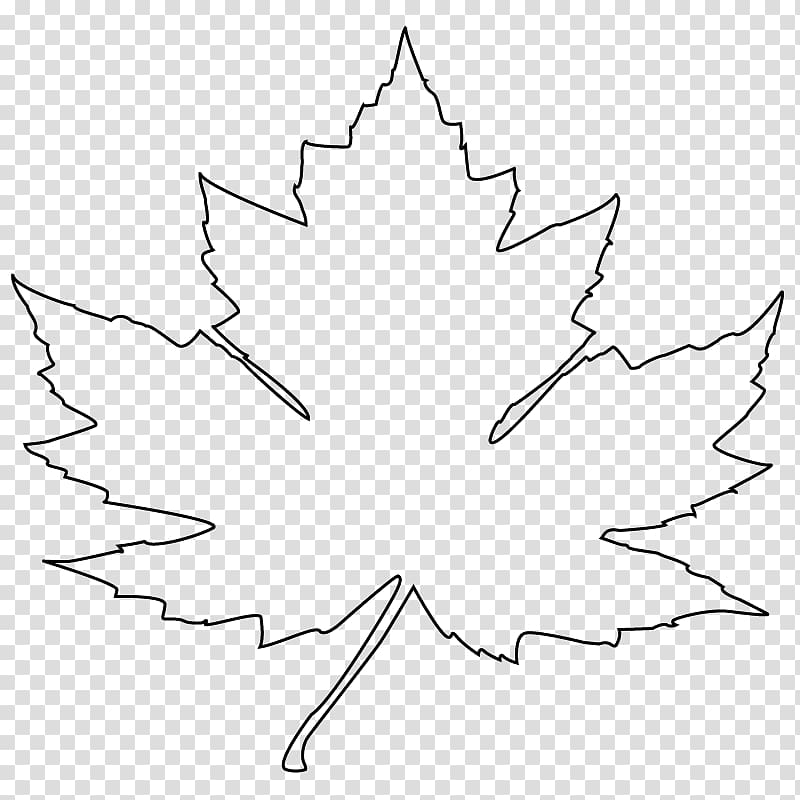 maple leaf, Maple leaf Drawing Flag of Canada , leaf outline transparent background PNG clipart