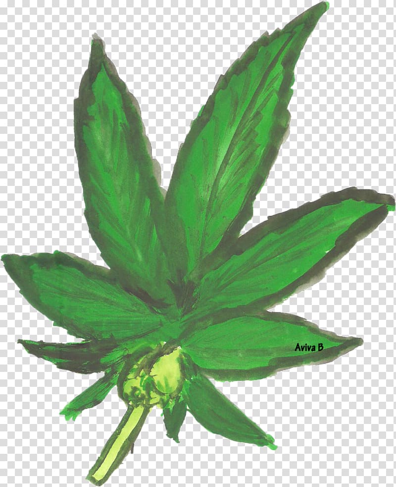 Hemp Leaf Cannabis Family, Cannabis smoke transparent background PNG clipart