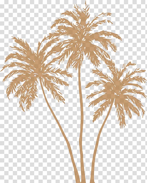 three brown coconut trees illustration, Arecaceae Silhouette , gold leaf transparent background PNG clipart