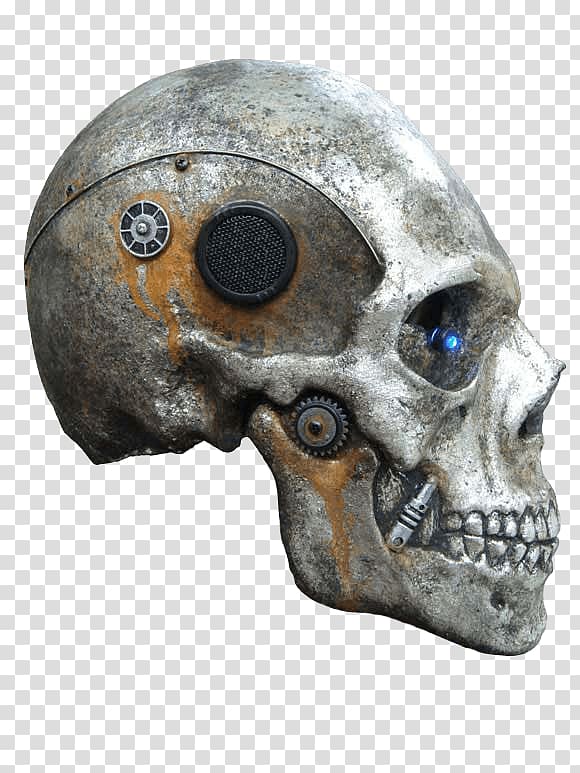 Skull Vertebrate Bone Brain Skeleton, Skull transparent background PNG clipart