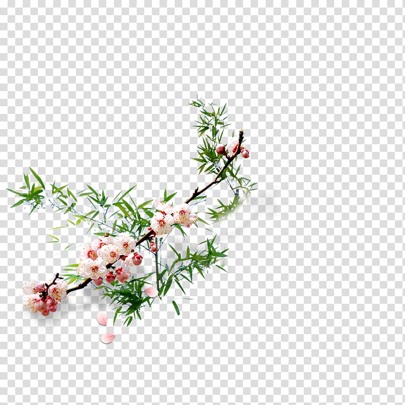 Bamboo Drawing Plum blossom, Plum flower transparent background PNG clipart