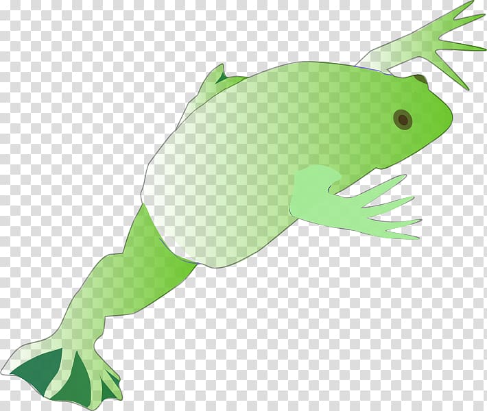 Tree frog True frog Reptile, frog transparent background PNG clipart