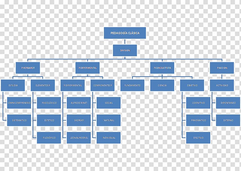 Organizational chart Flowchart Management Deliverable, Business transparent background PNG clipart