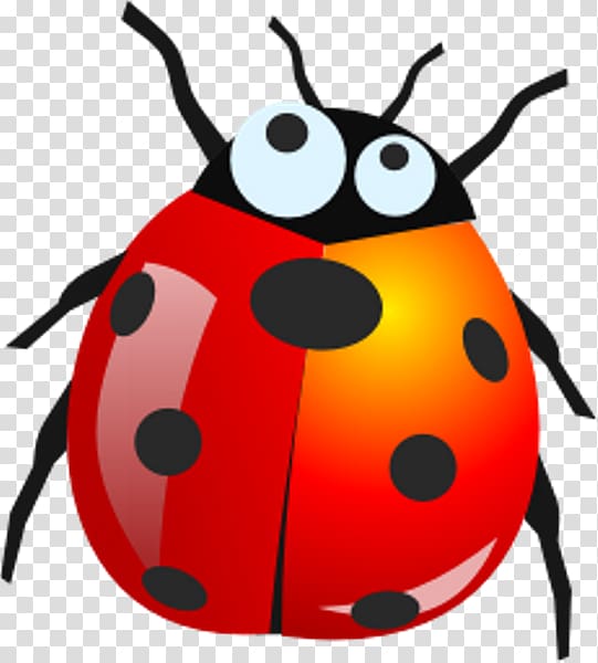 Ladybird beetle Software bug , beetle transparent background PNG clipart