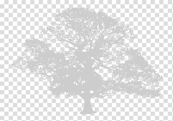 Tree The Europa World of Learning 2018 Book Training, gray tree transparent background PNG clipart