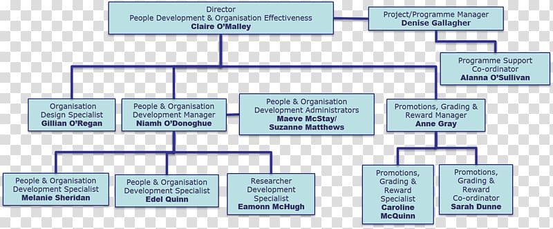 Organizational effectiveness Human resource Organizational chart, people development transparent background PNG clipart