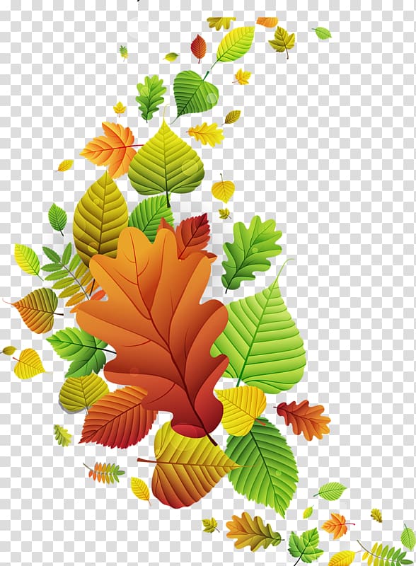 Autumn , leaves Watercolor transparent background PNG clipart