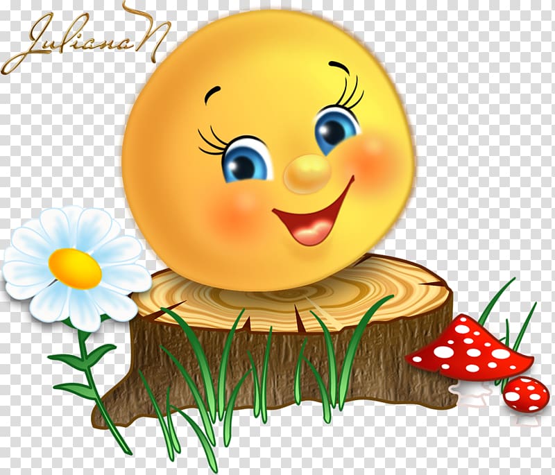 Emoticon Smiley Happiness Face , smiley transparent background PNG clipart