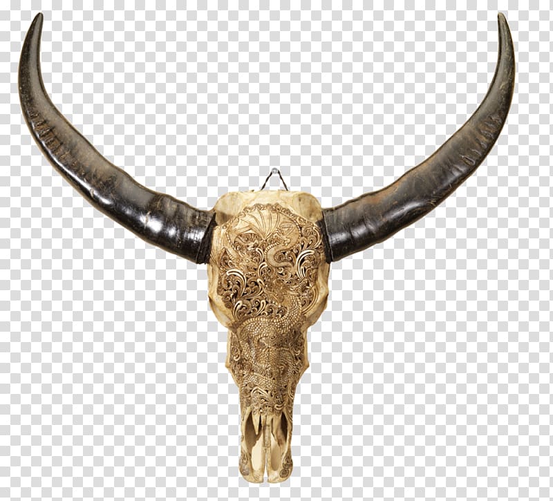 Human skull Water buffalo Bone Horn, skull transparent background PNG clipart