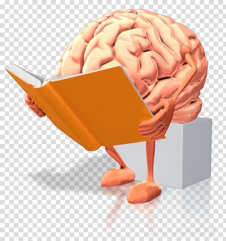 Human brain Dyslexia Reading Brain Rules, Brain transparent background PNG clipart