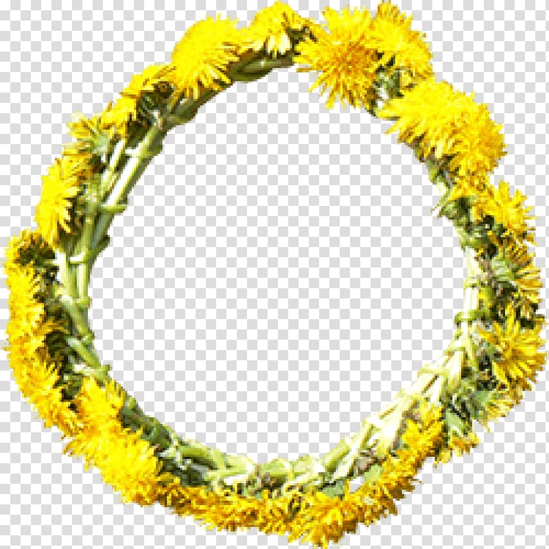 Flower Wreath Yellow Dandelion, ginger transparent background PNG clipart