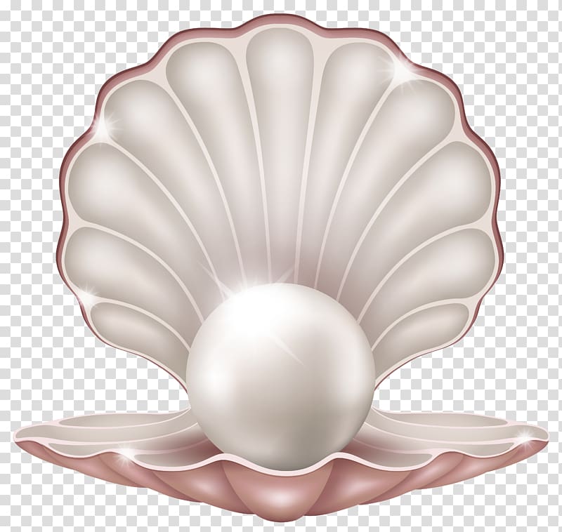 Pearl , Beautiful Clam with Pearl , gray seashell with pearl transparent background PNG clipart