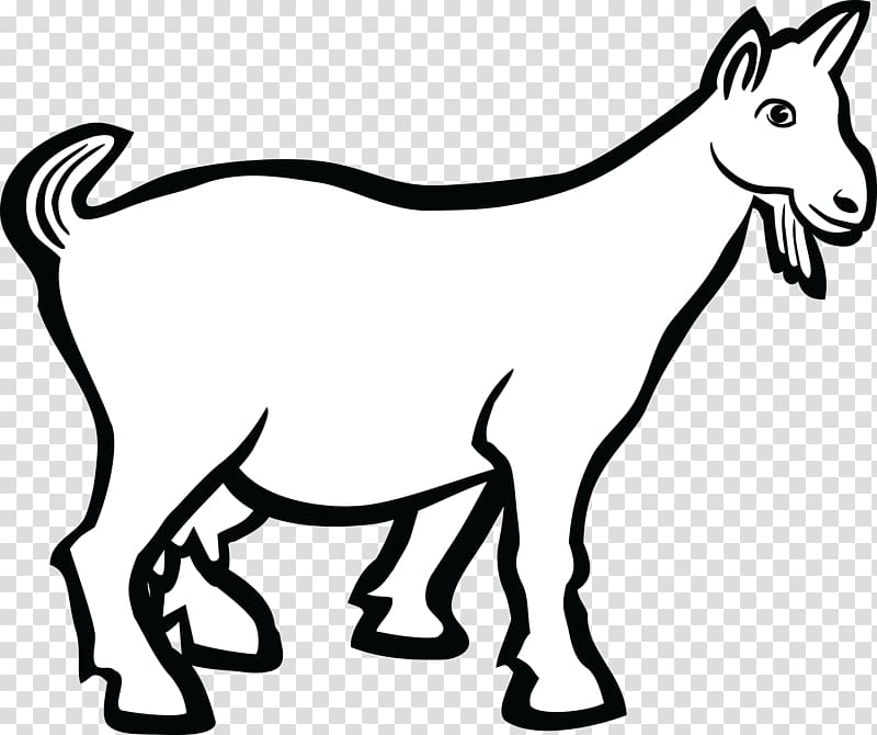 Boer goat Line art Drawing , goat transparent background PNG clipart