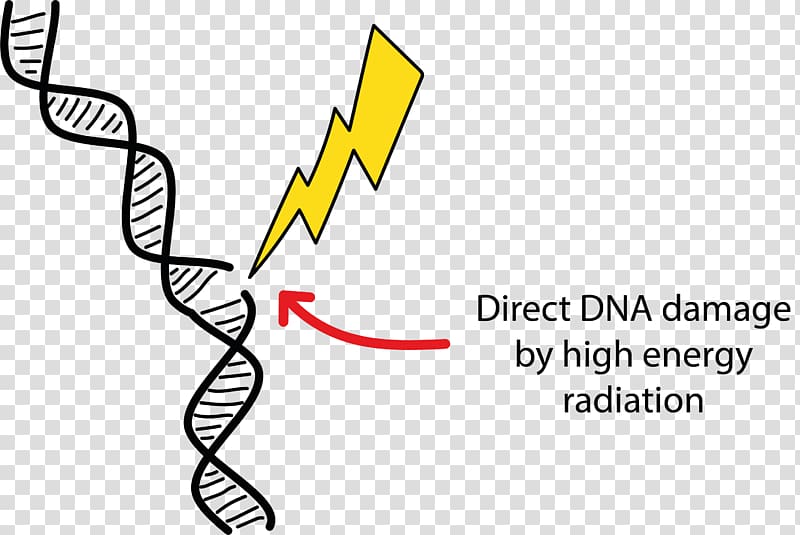 DNA damage Radiation therapy Cell, energy transparent background PNG clipart