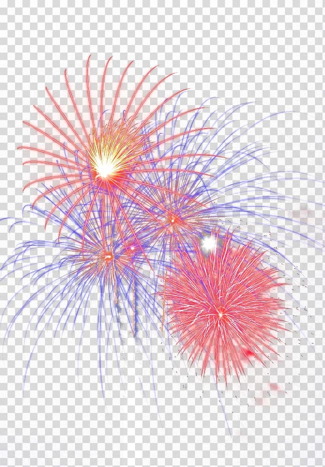 Petal Sky Close-up Pattern, Fireworks transparent background PNG clipart