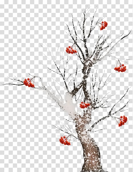 Twig Tree Pine , tree transparent background PNG clipart