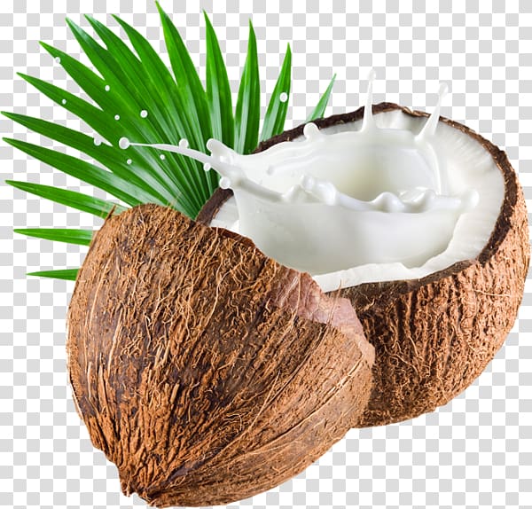 Free download | Coconut shell, Coconut milk Soy milk Organic food, milk ...