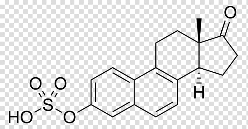 1-Methylnaphthalene Methyl group Chemistry Acid, lenin transparent background PNG clipart