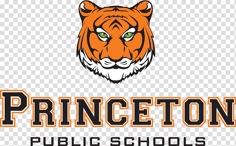 Princeton University School district State school National Secondary School, school transparent background PNG clipart