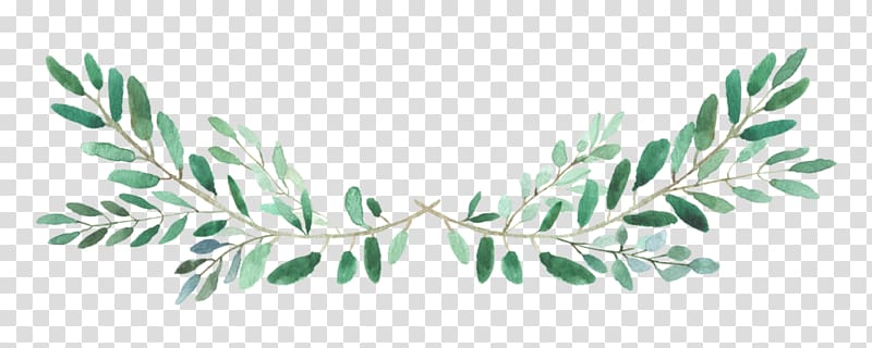 green leaf illustration, Instagram Video YouTube, instagram transparent background PNG clipart
