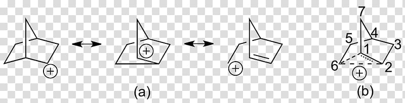 2-Norbornyl cation Carbocation Bredt\'s rule Chemistry, others transparent background PNG clipart