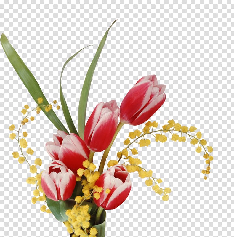 Laptop High-definition television Flower , Red tulips transparent background PNG clipart
