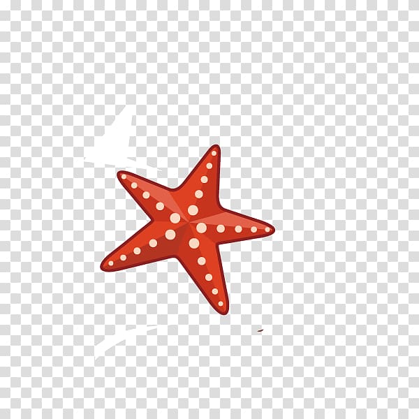 Algiers Algerian War France War film, Starfish Beach transparent background PNG clipart