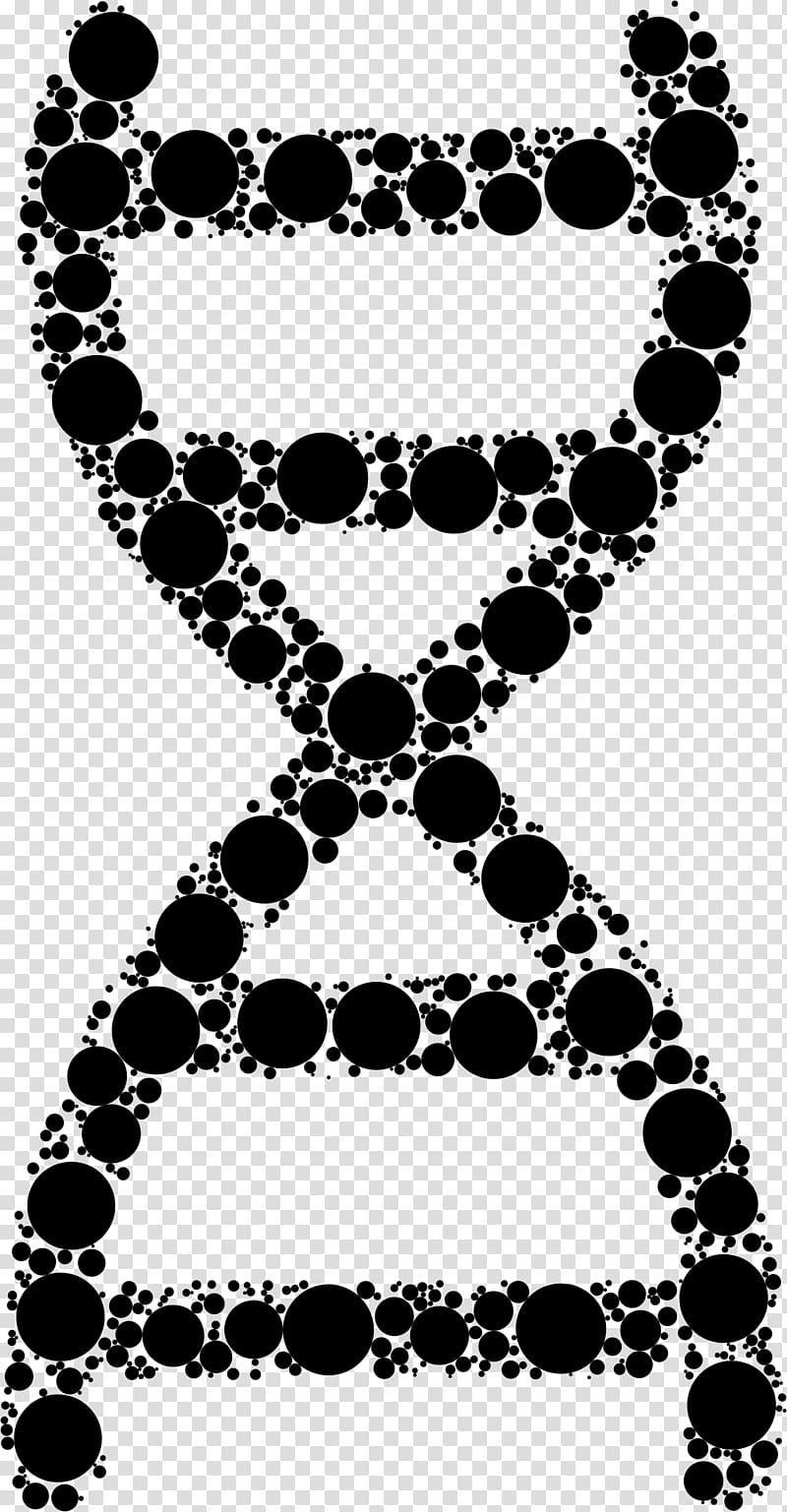 DNA Nucleic acid double helix iOS jailbreaking Polymerase chain reaction Nucleic acid methods, DNA transparent background PNG clipart