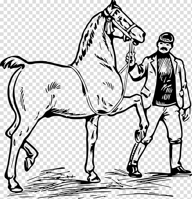 Horse Mule Colt Stallion , headless horseman transparent background PNG clipart