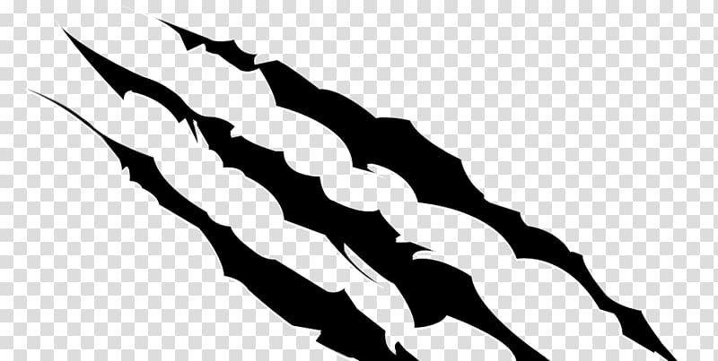 Wolverine Black and white Claw Bear , claw marks transparent background PNG clipart