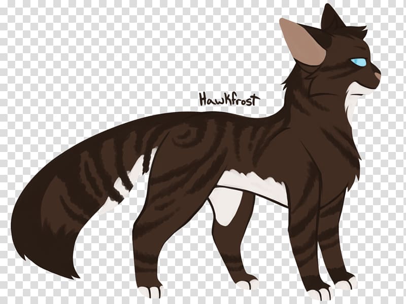 Cat Whiskers Warriors Hawkfrost Erin Hunter, Cat transparent background PNG clipart
